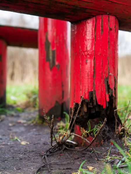Cost of Rotten Column Replacement in Eugene